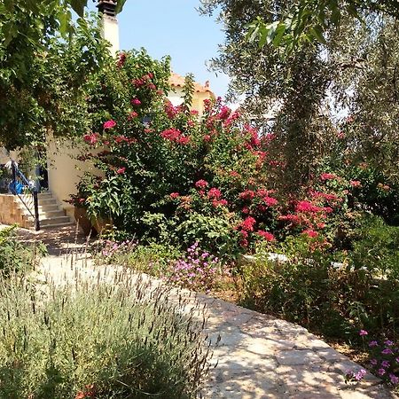Angelica Villas Hotel Apartments Epidaurus Ngoại thất bức ảnh